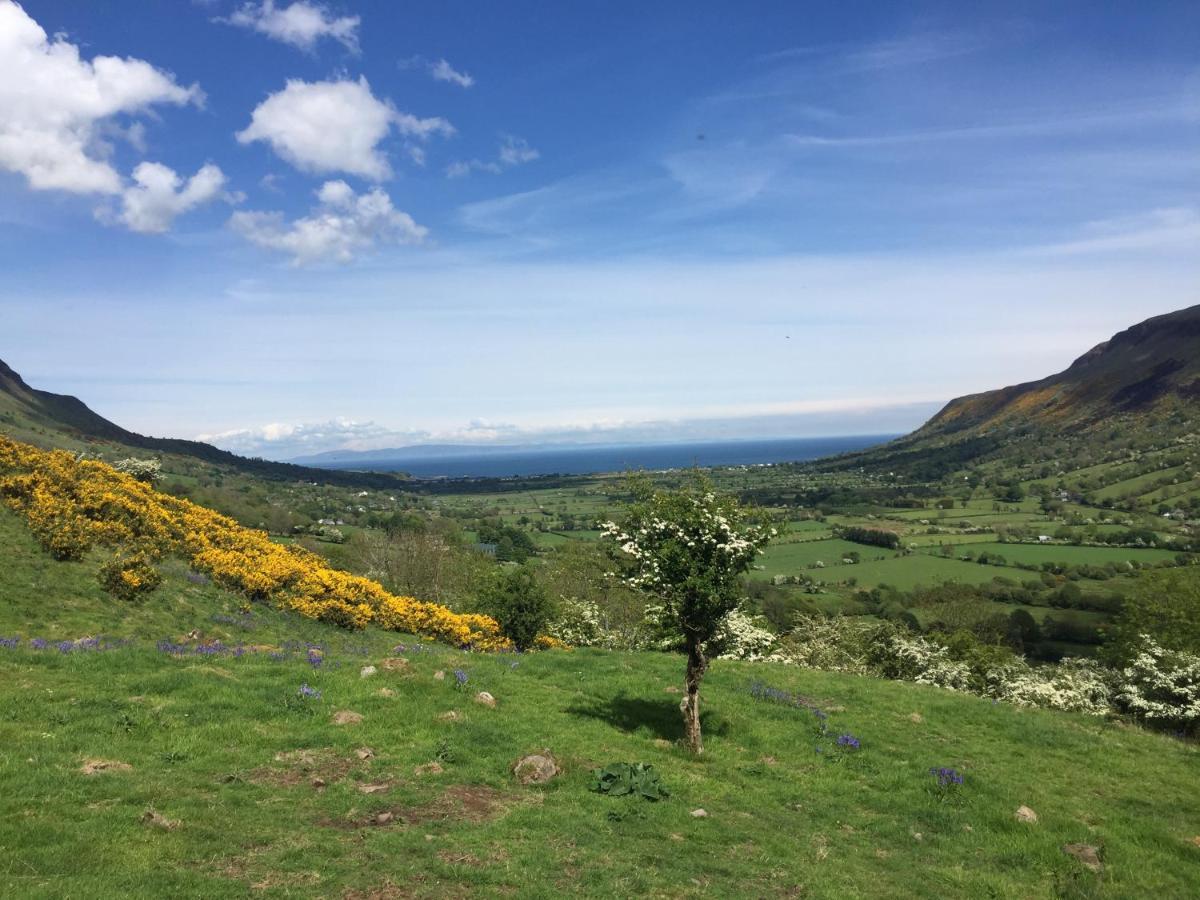 Tavnaghoney