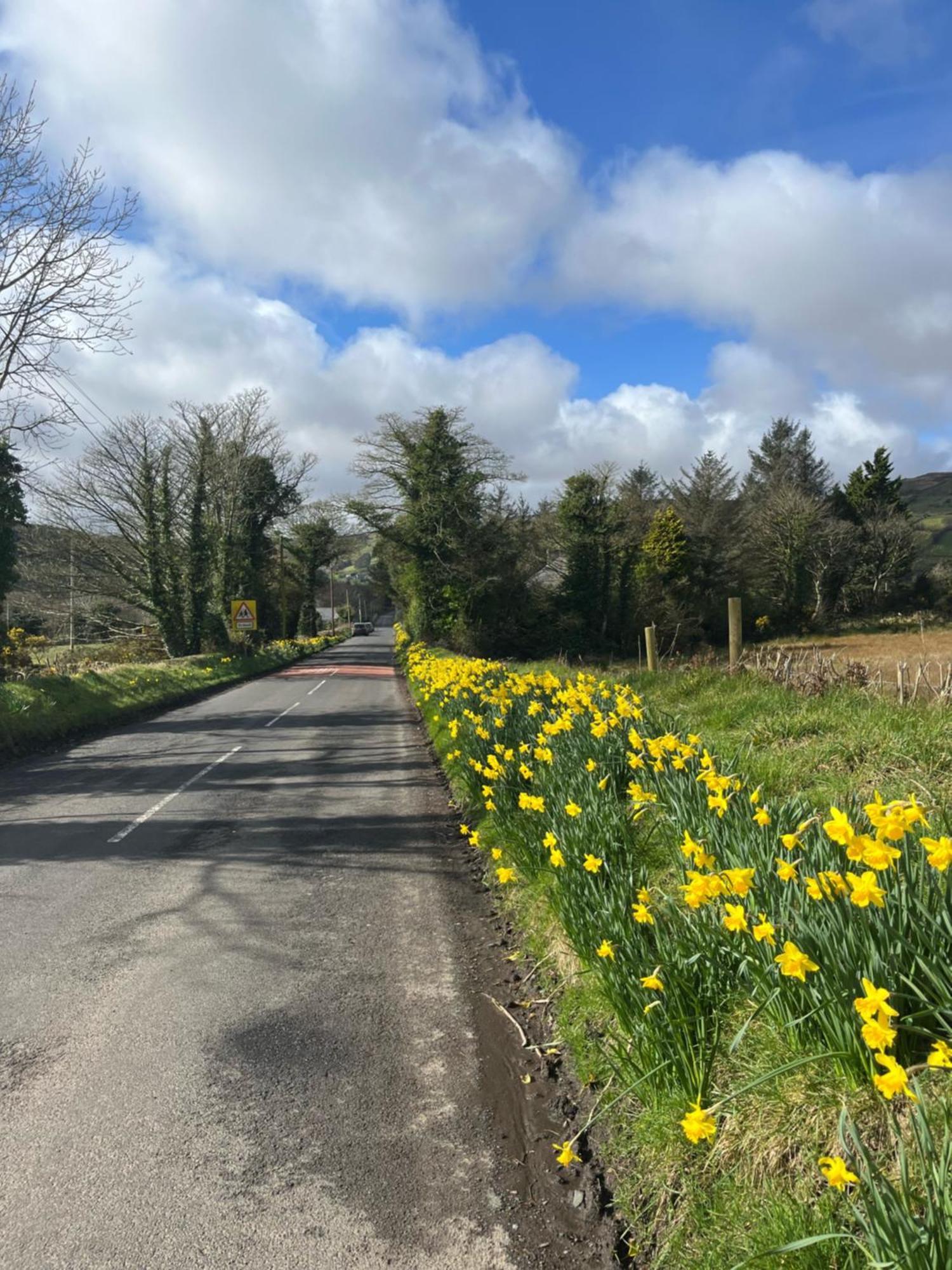 Tavnaghoney Holiday home Cushendall