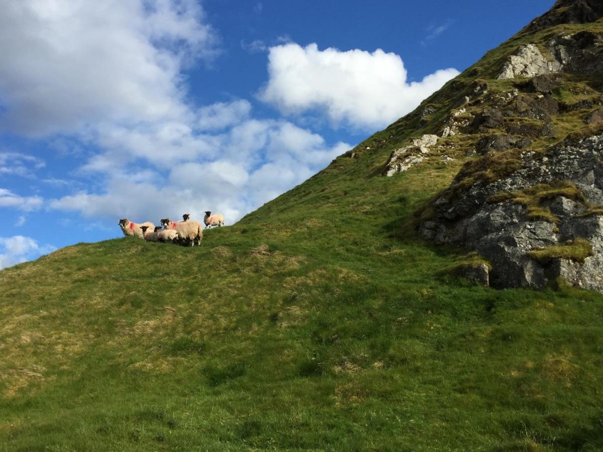 Tavnaghoney