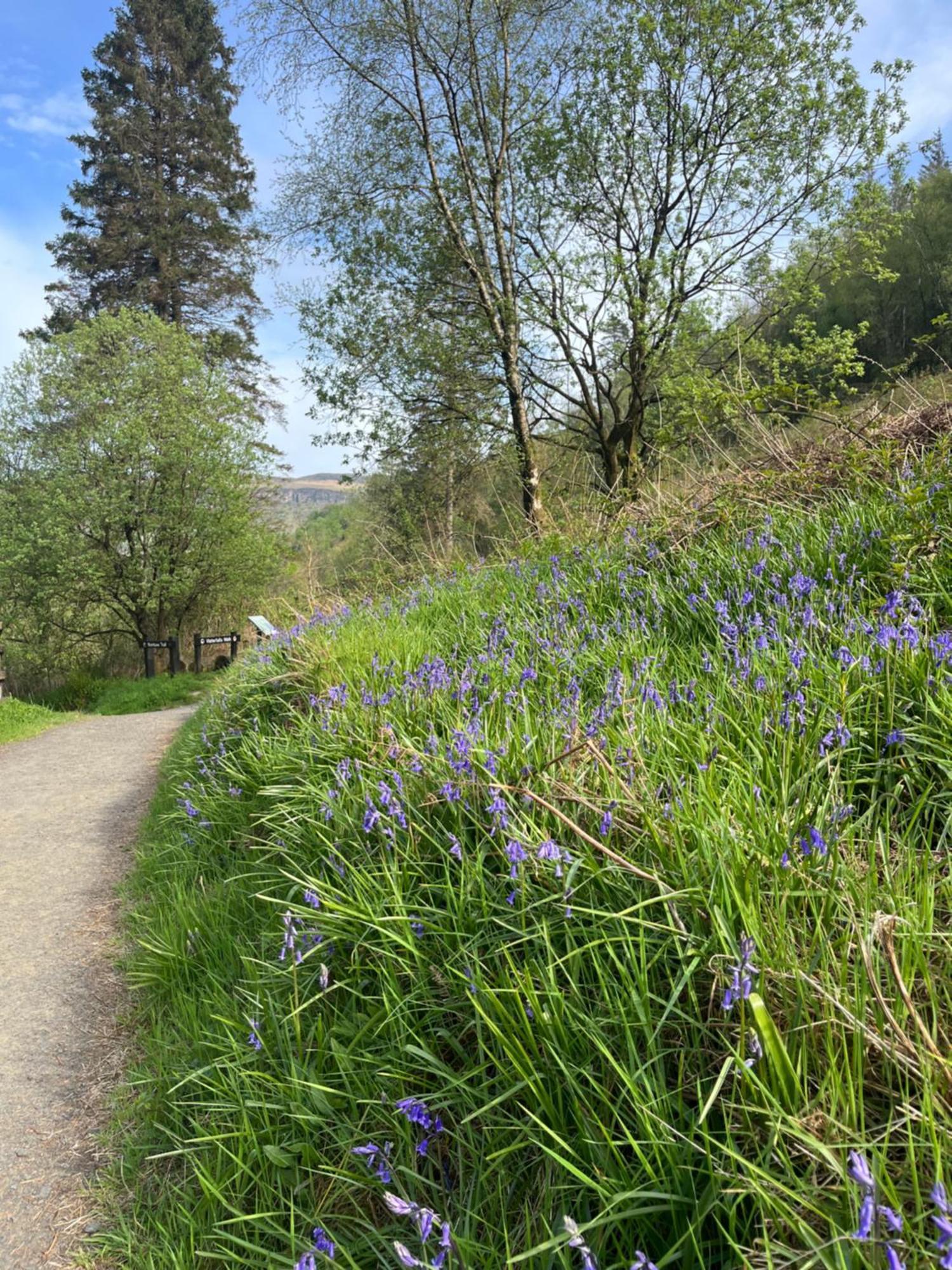 Tavnaghoney Cushendall